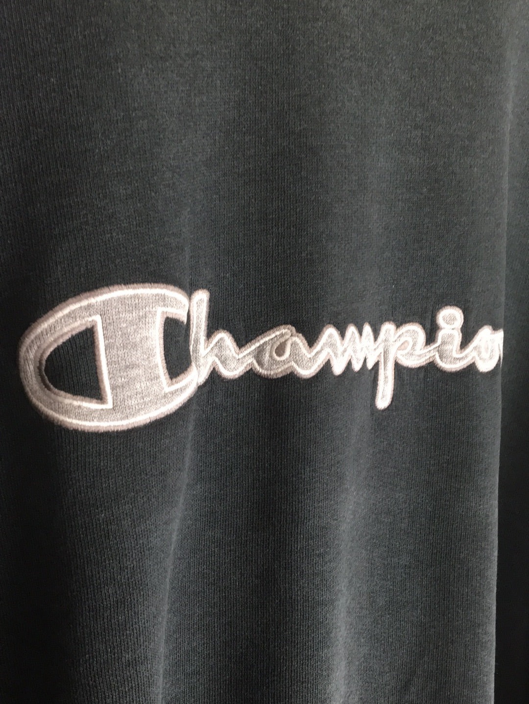 Champion Sweater (L)