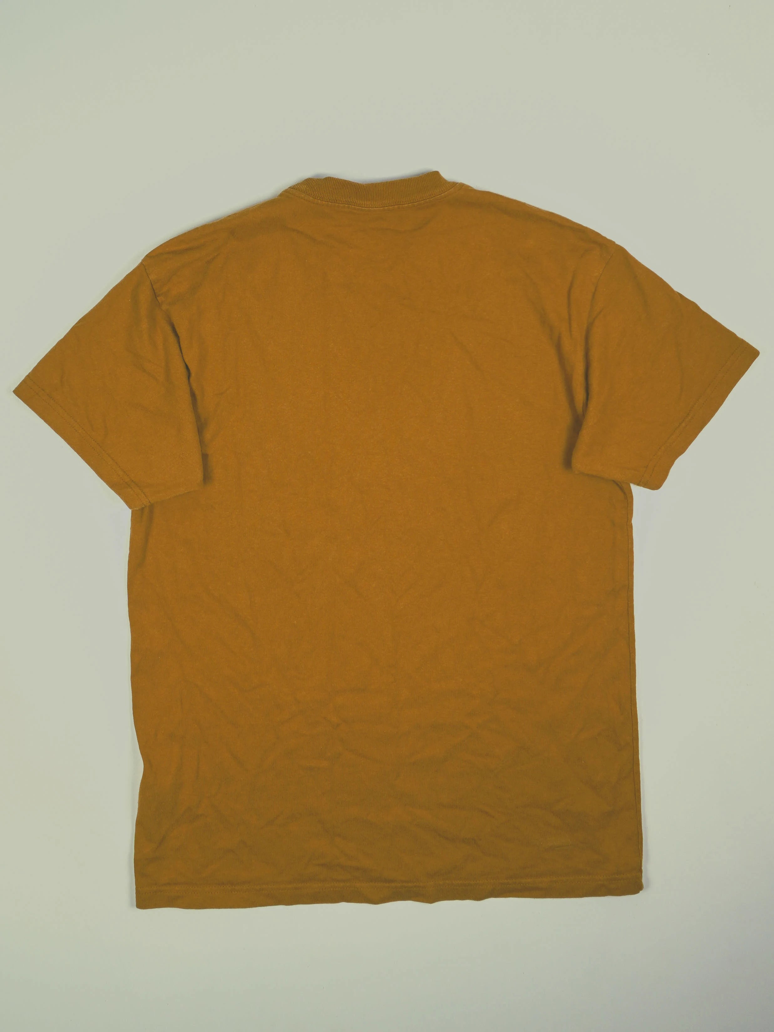 Carhartt T-Shirt (S)