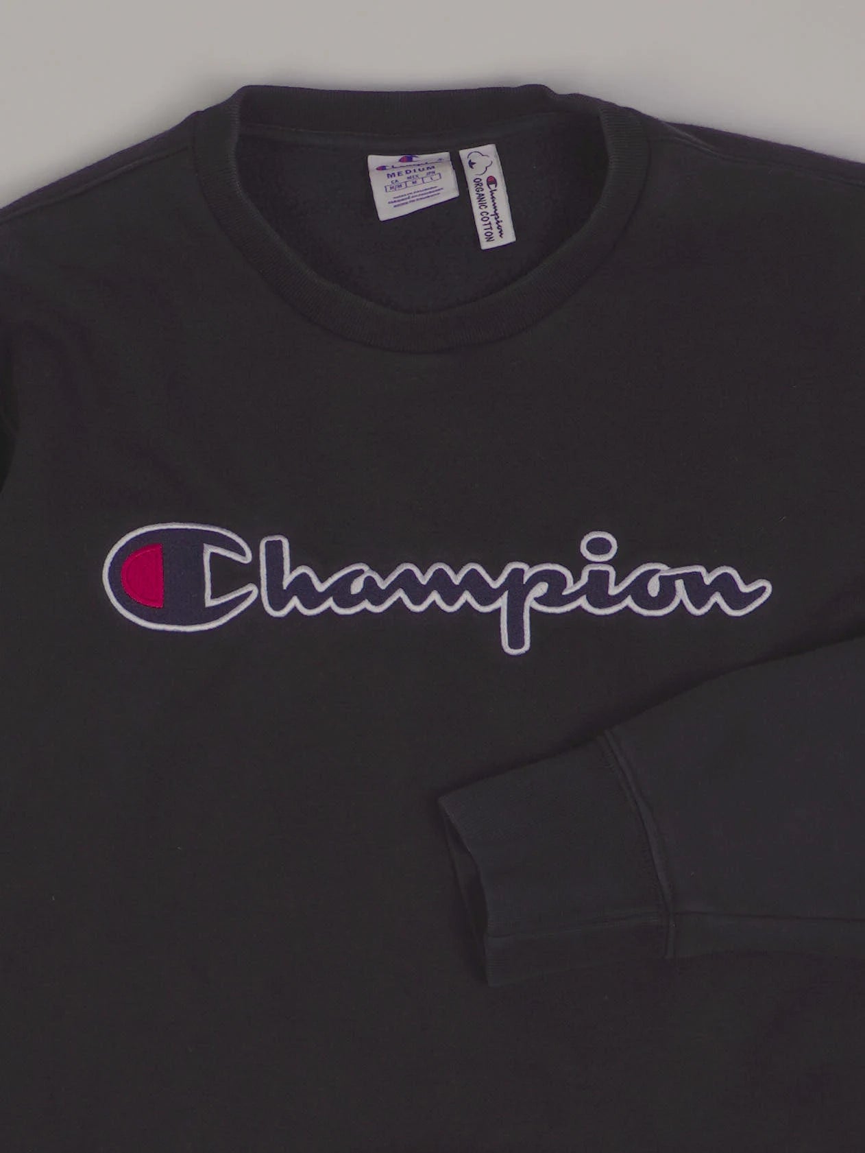 Champion Sweater (M)