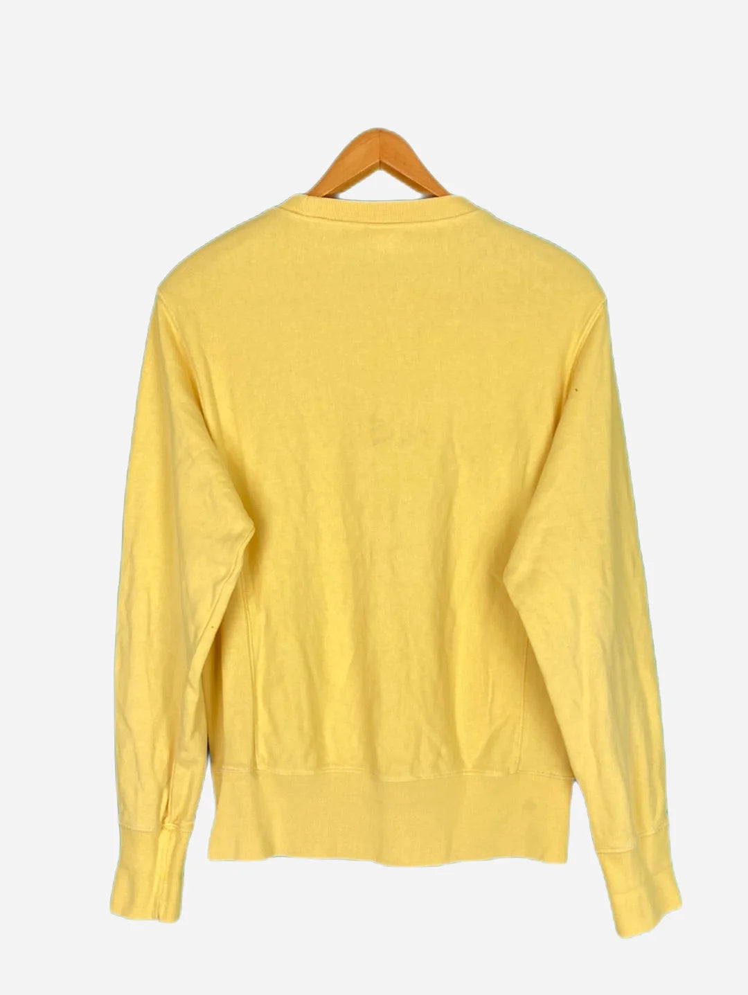Champion Sweater (M)