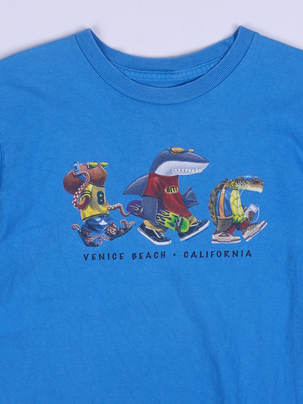 Vintage T-Shirt (S)