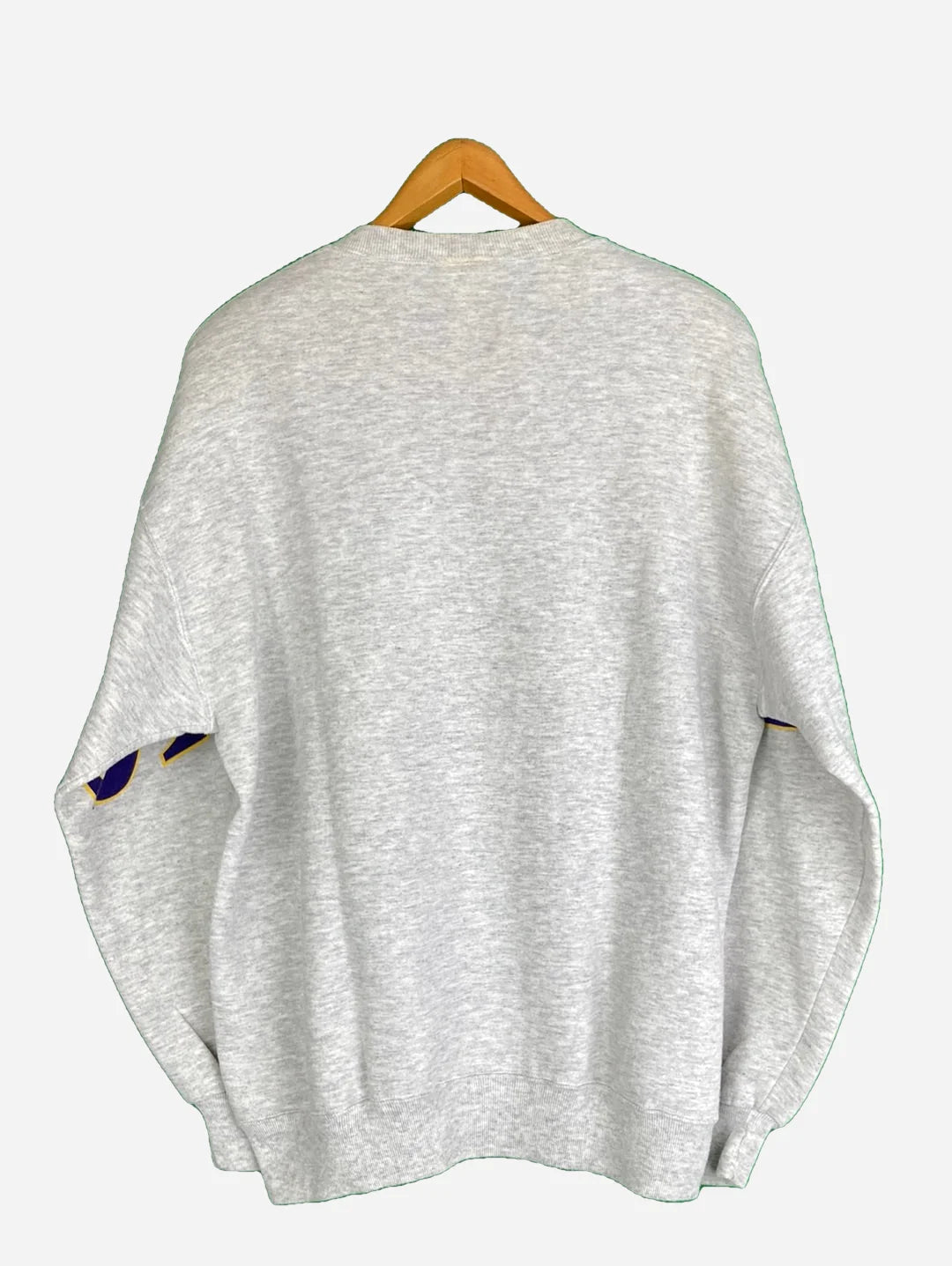 Minnesota Vikings Sweater (L)