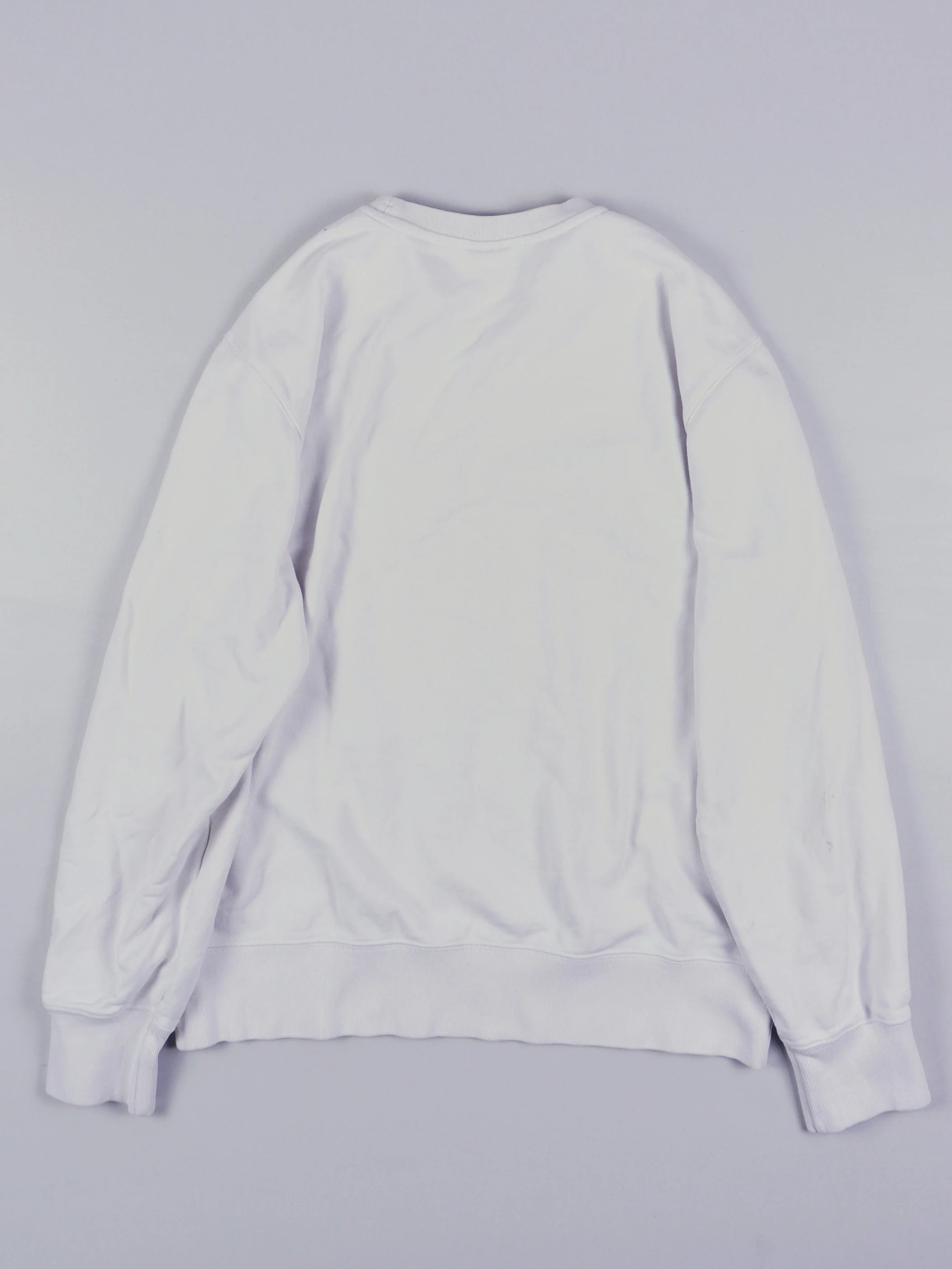 Champion Sweater (XS)