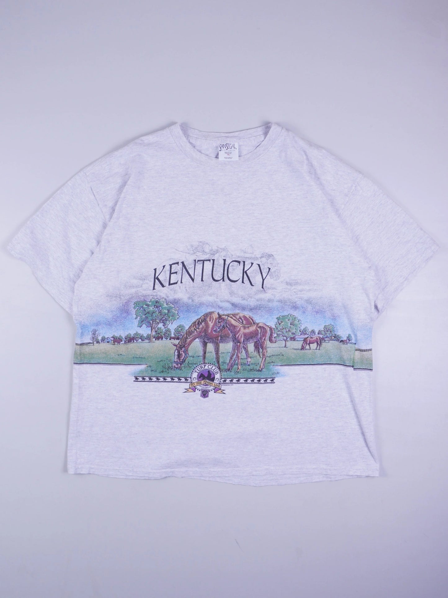 Kentucky T-Shirt (L)