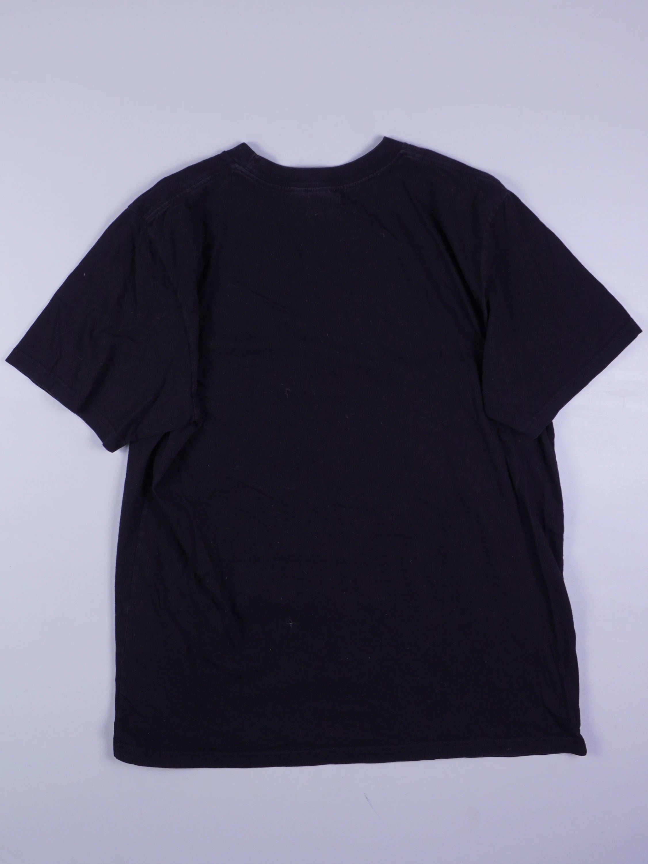 Carhartt T-shirt (L)