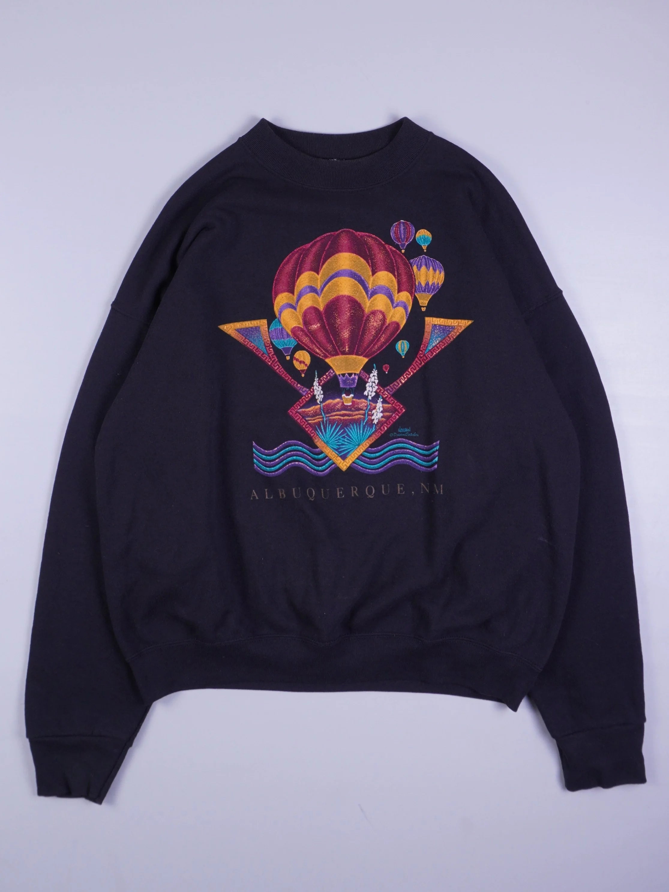 Albuquerque, NM Sweater (M)