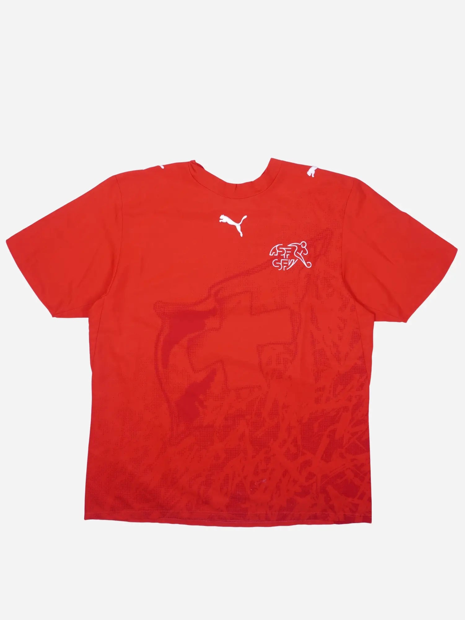 Puma Deutschland 2024 Prematch Trikot (L)