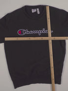 Champion Sweater (M)