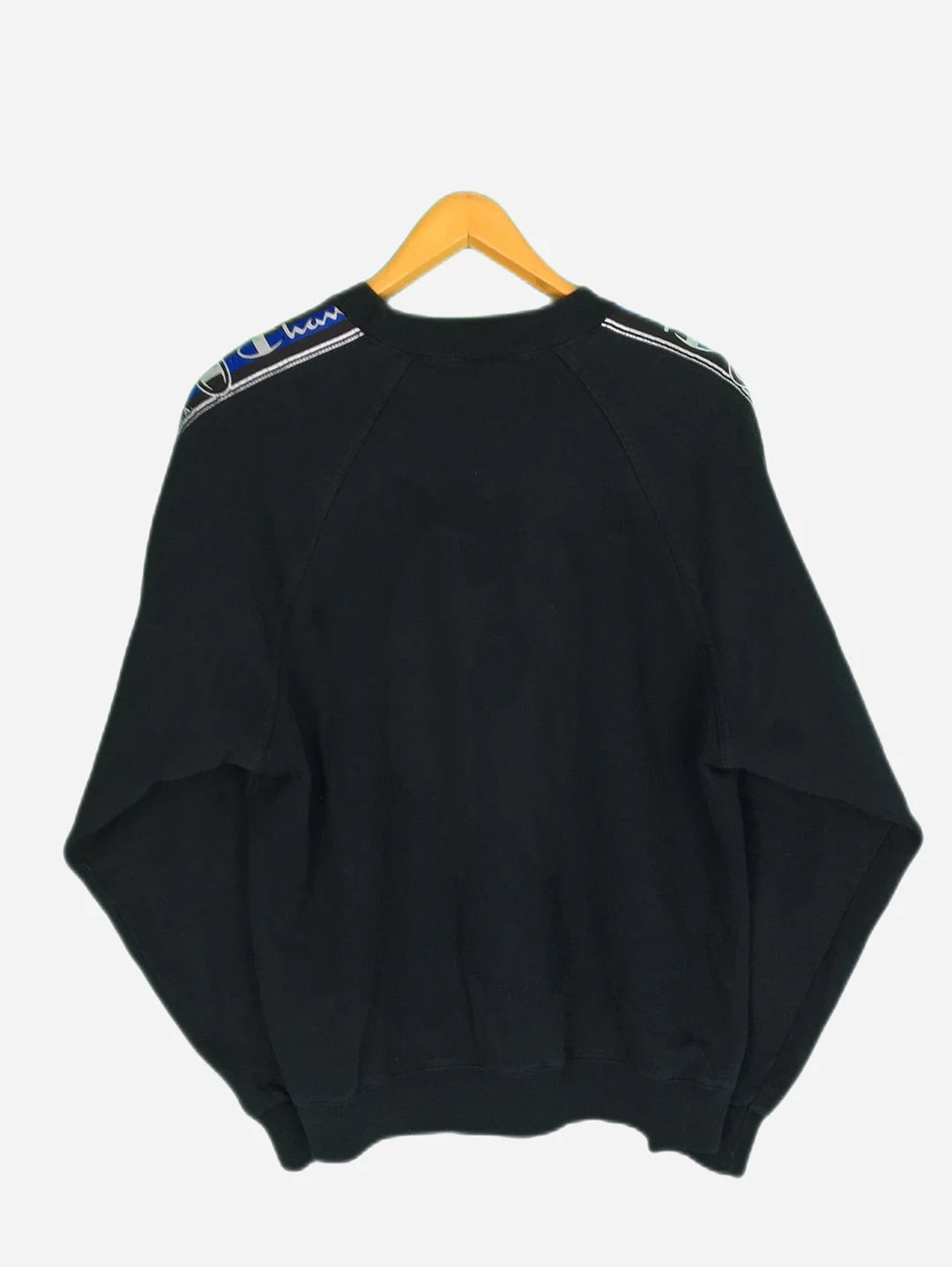 Champion Sweater (M)