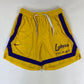 Nike Lakers Shorts (M)