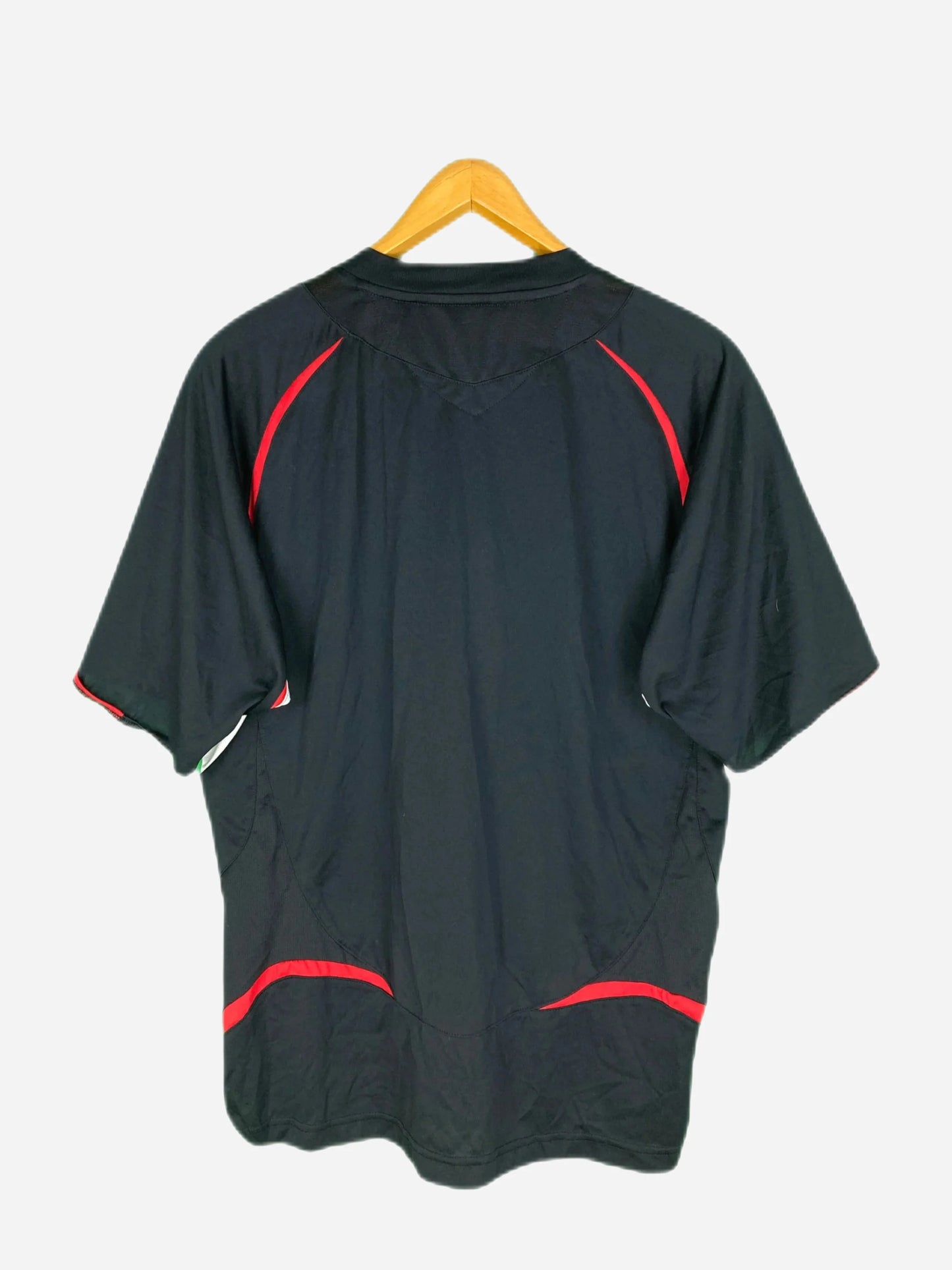 Champion Wales Trikot (L)