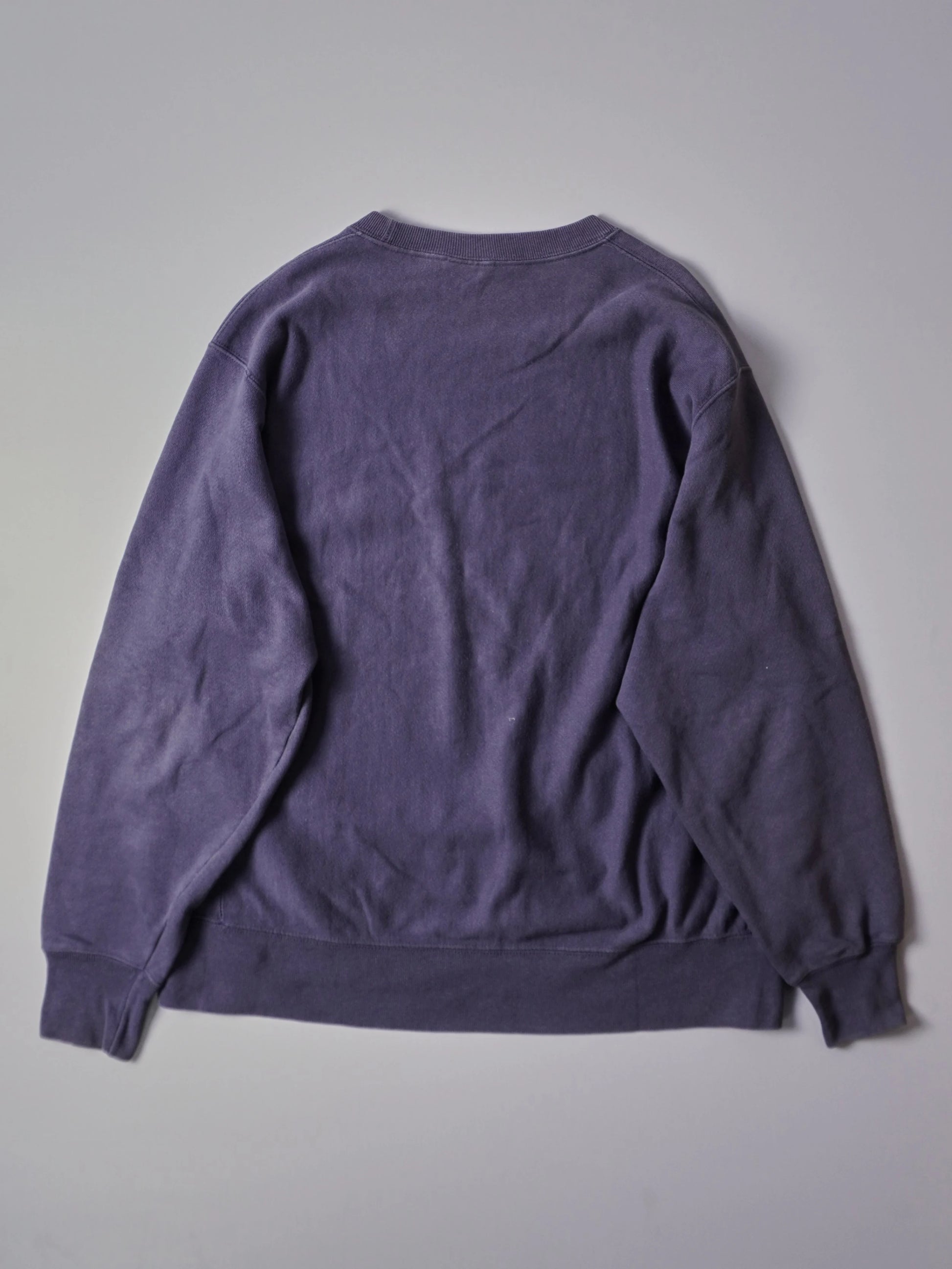 Champion Sweater (L)