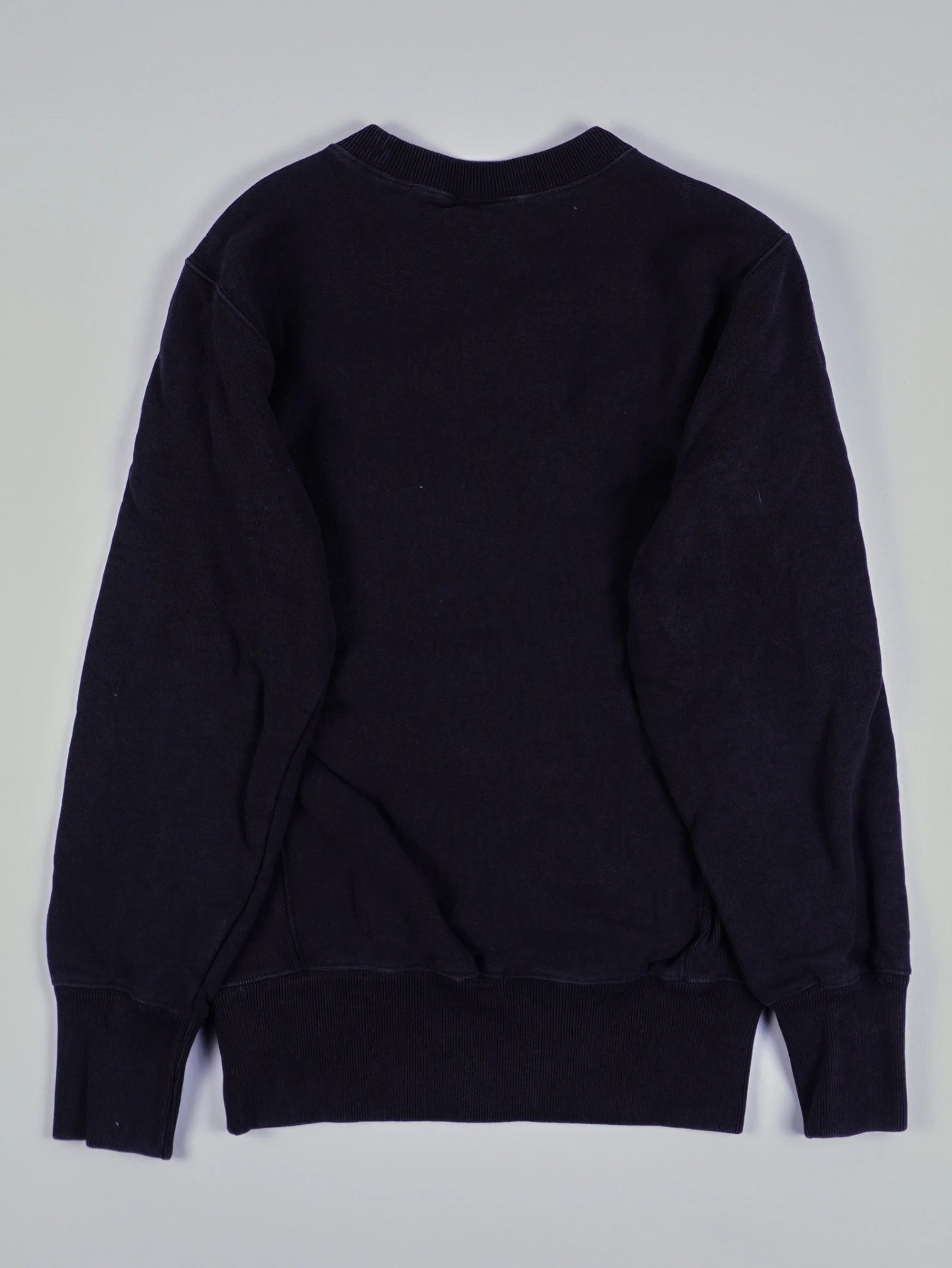 Champion Sweater (XS)