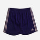 Adidas Shorts (L)