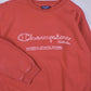 Champion Sweater (M)