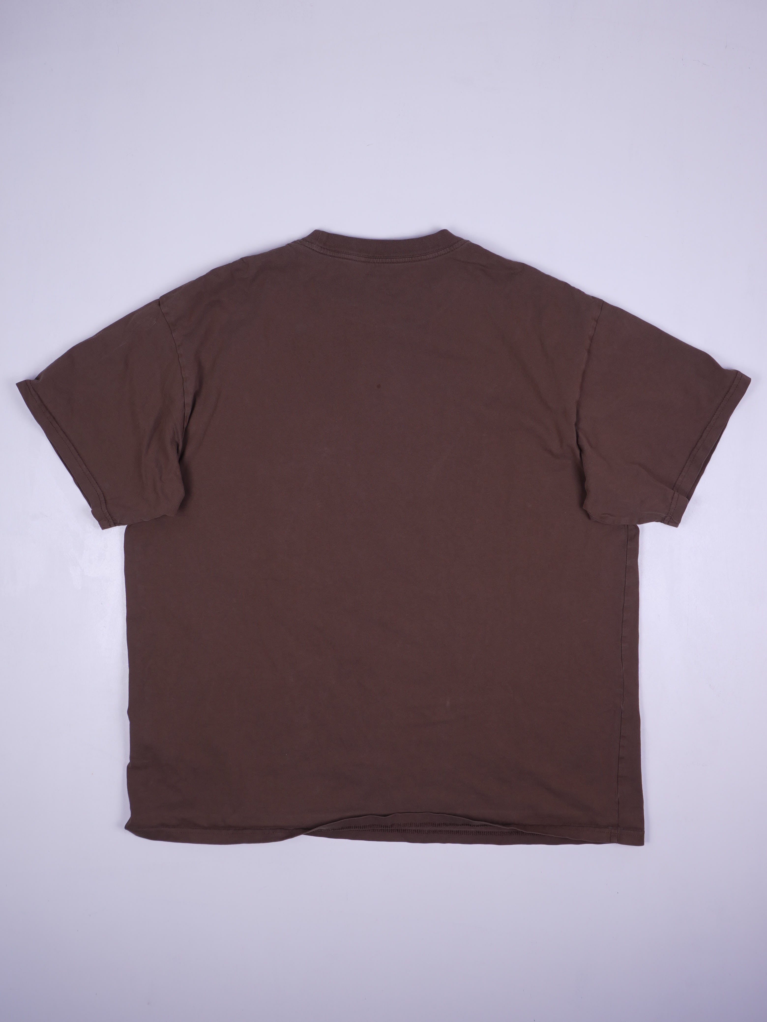 Carhartt T-Shirt (XL)