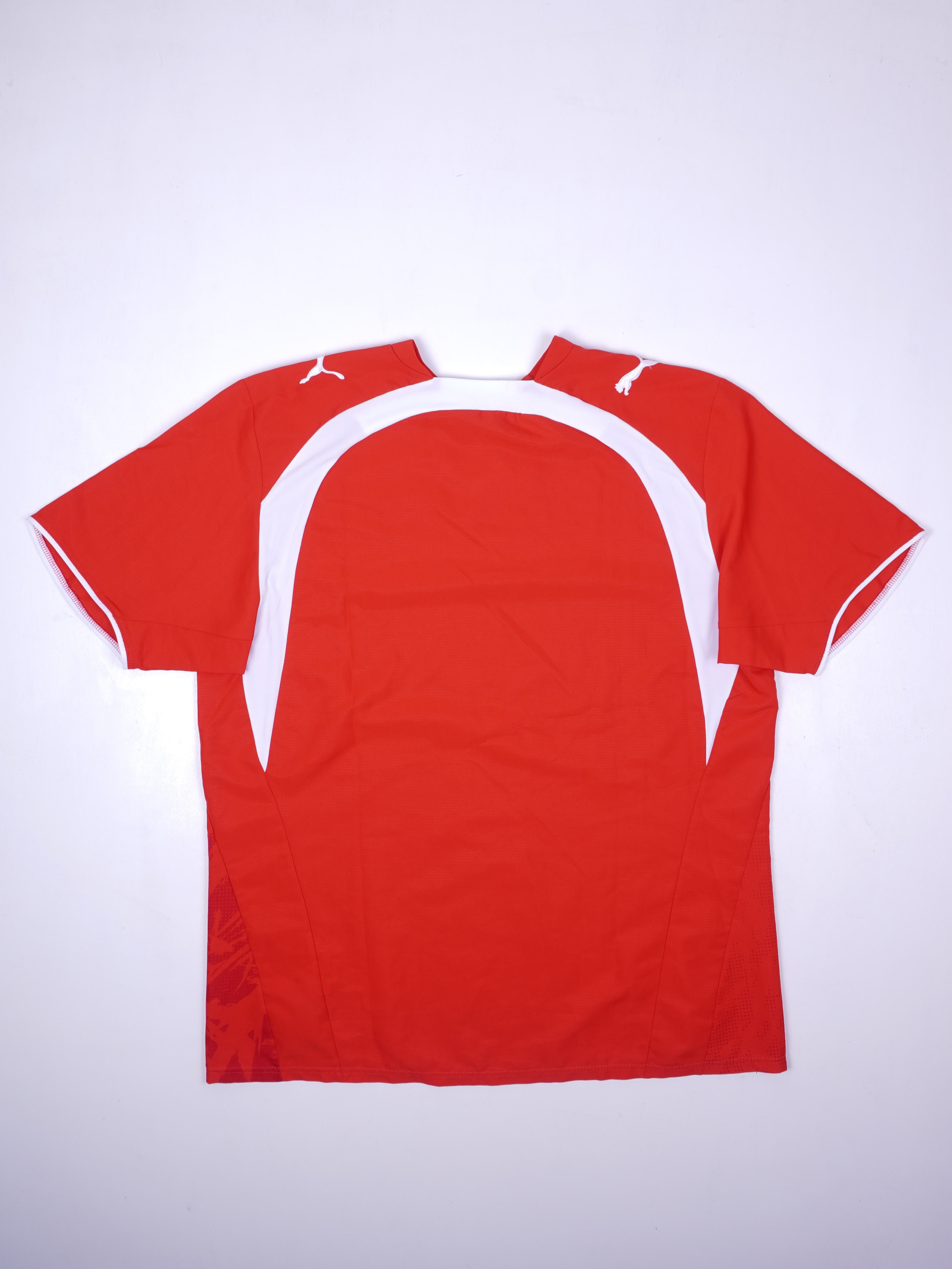 Puma Deutschland 2024 Prematch Trikot (L)