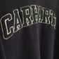 Carhartt Sweater (L)