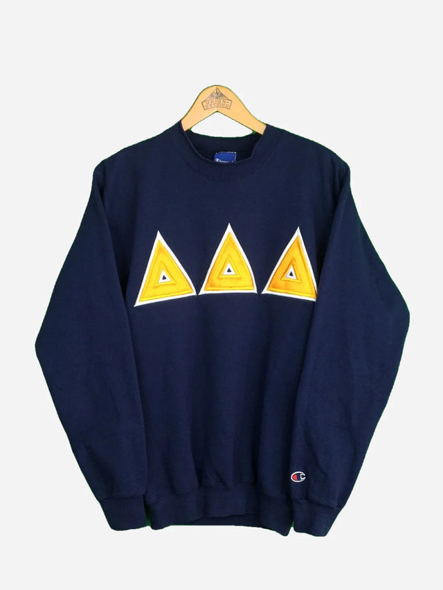 Champion Sweater (M)
