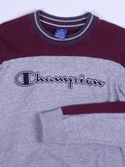 Champion Sweater (S)