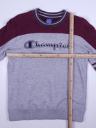 Champion Sweater (S)