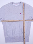 Champion Sweater (S)